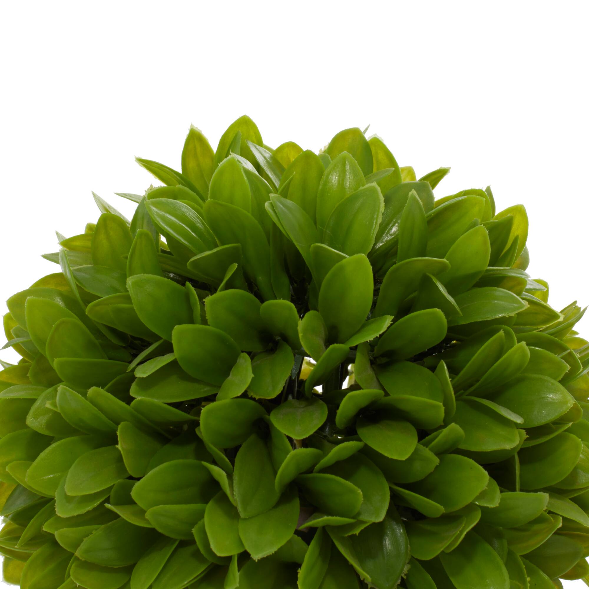 10" Boxwood Topiary in Decorative Planter